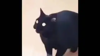 Ballistic