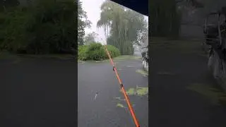Fishing and water critters in a stormy day in east michigan