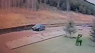 Взрыв в Ишимбае засняли камеры видеонаблюдения