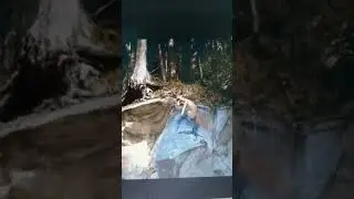 funny monster fighting 