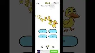 BRAIN OUT LEVEL 2 HOW MANY DUCKS?