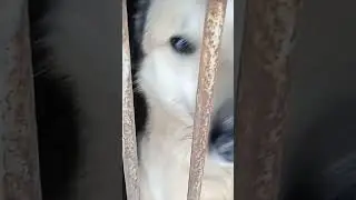 Когда не лезет, но сильно охото 🤣