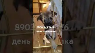 25 августа 2024г
