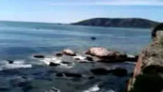VID 00000-20100210-1240.3GP
