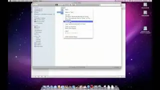 Automatically Add to iTunes 9 - Easy Import Method