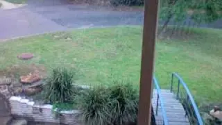 WTF GHOST IN MY STREET?