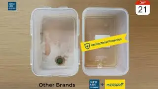Super Lock by Micronware: Food Containers with Microban Antimicrobial Technology