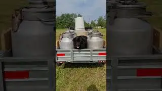 интересное