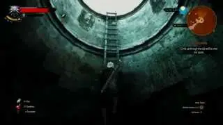 Witcher 3 - Bloody Baron - How to Climb Through The Old Well