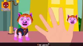 семья пальчиков Щенячий патруль | puppy patrol Family finger in Russian