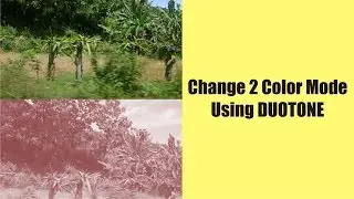 Change colored Image into 2 color using Duotone Command