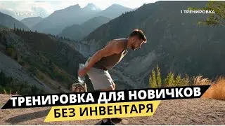 ТРЕНИРОВКА  НА ВСЕ ТЕЛО ДЛЯ НОВИЧКОВ НА ВСЕ ТЕЛО / НОГИ / ПРЕСС / ИНТЕНСИВНЫЙ ТРЕНИНГ