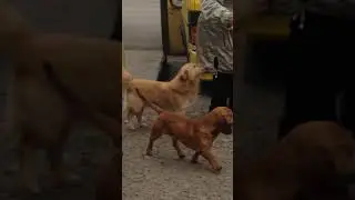 Охранник автостанции