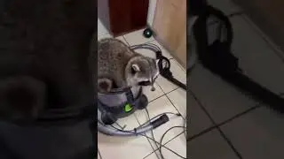 Лёня и пылесос