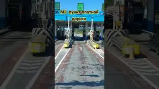 #м4дон #россия #платник #дорога #рекомендации #дальнобой #техномузыка #стрим #шортс #врек #топ
