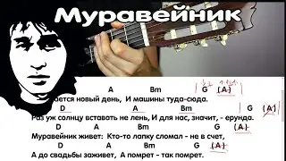 Группа Кино - Муравейник на гитаре. аккорды, бой, текст песни