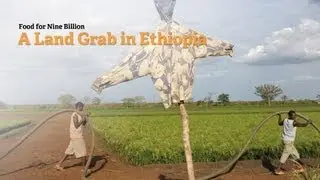 Ethiopia: A Battle for Land and Water