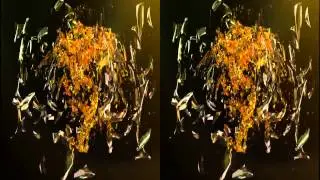Corvassier 3D Advertisement Video Stereoscopic for 3DTV Commercial Spot