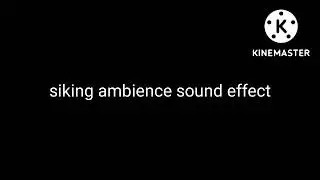 SIKING SHIP AMBIENT SOUND EFFECT