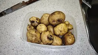 Картошка в канистрах.