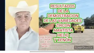 RESULTADOS DE LA DEMOSTRACIÓN DE 4 VARIEDADES DE SORGO SEMBRADAS EN QUIMICHIS, NAYARIT 2022-2023
