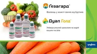 Применение гербицидов при посадке моркови и капусты