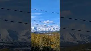 токийский становик