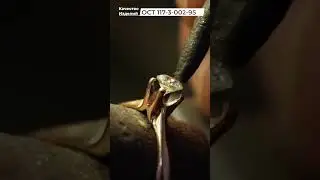 Что за бренд «Бриллианты Якутии»?✨