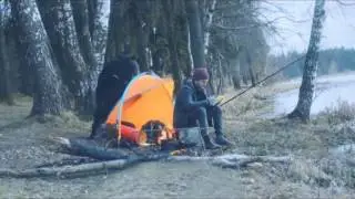 Bear Long