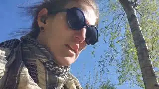 walk 'n' talk