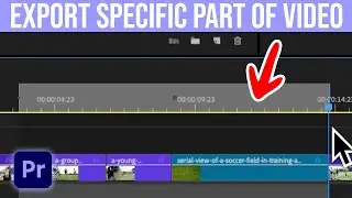 How To Export A Specific Part Of A Video In Premiere Pro