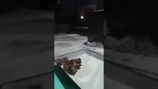 АЛЁ #rec
