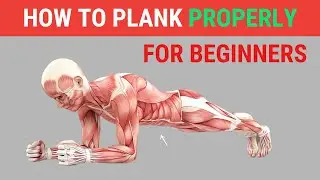 How to Plank Properly For Beginners - Step By Step Guide