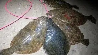 Texas Flounder Gigging in October