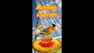 Поздравляю с Масленицей 🥞Масленица к нам пришла🥞Открытка с Масленицей🥞Музыкальная Открытка