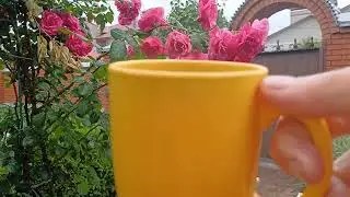 Ура! Всех с дождём!