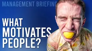 What Motivates People? The Top Motivation Models [Compilation]