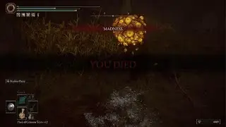 ELDEN RING Exterminating the Aged Ones!