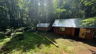 I AM IMPROVING A FOREST HUT - I AM BUILDING A POWERFUL GAZEBO. CATCHING WILD BEES WITH A TRAP