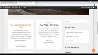 Video 19 – How to Use Wordpress Theme Editor