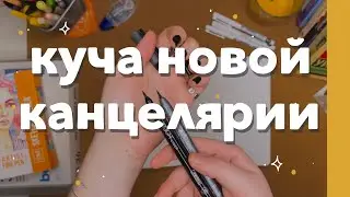 обзор КУЧИ новой КАНЦЕЛЯРИИ // маркеры, линеры, ежедневники 💫🥰
