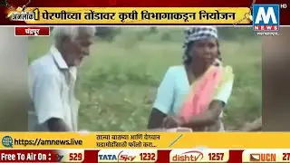 चंद्रपूरात शेेतकऱ्यांना बांधावर खते बियाणाचा पुरवठा, कृषी विभागाचा कौतूकास्पद उपक्रम । AM NEWS