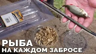 Ловля на БОМБАРДУ / СБИРУЛИНО монтаж снасти, как ловить рыбу на каждом забросе