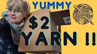 $2 YARN from my local yarn shop ! @Aberdeen's Wool Co.  #yarn #yarnhaul #crochet #premieryarn