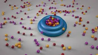 SOFT BODY & RIGID BODY