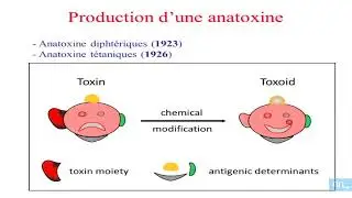 Vaccination partie 02: mode de production des vaccins