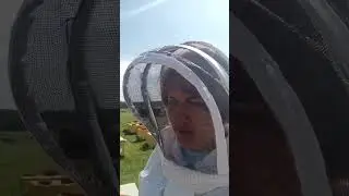 Рассказываю чем занимаемся. 