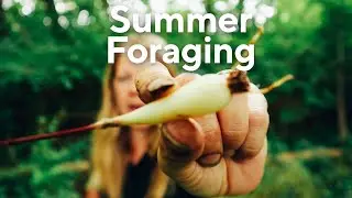 Foraging in Summer: Native Plants for Food, Medicine, and more