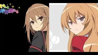Toradora! vs Ookami-san to Shichinin no Nakama-tachi
