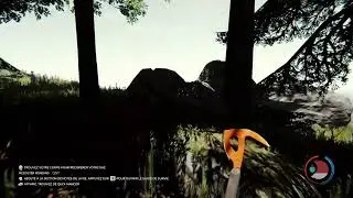 Lets'Play The Forest !